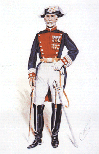 Coronel en uniforme de gran gala, año 1883